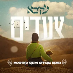 צעדים (Moshiko Stern Official Remix)