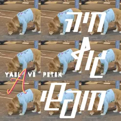 חיה גוף חופשי