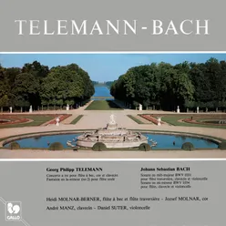 Telemann: Concerto a tre in F Major - Fantasy No. 2 in A Minor - Bach: Flute Sonata in E-Flat Major, BWV 1031 - Flute Sonata in E Minor, BWV 1034