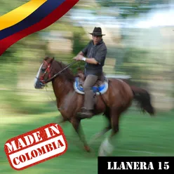 Made In Colombia: Llanera, Vol. 15