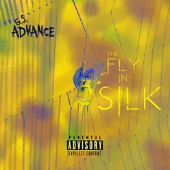 The Fly in Silk