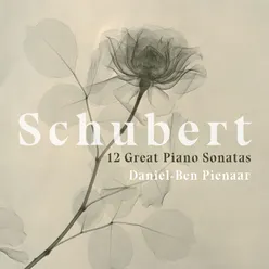 Piano Sonata in A Minor, D. 537: III. Allegro vivace