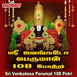 Sri Venkatesa Perumal 108 Potri