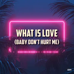 What Is Love (Baby Don't Hurt Me)