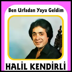 Seni Nasıl Özledim