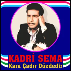 Adana Kar Yağmış