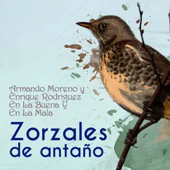Zorzales de Antaño - Armando Moreno y Enrique Rodriguez - En La Buena Y En La Mala