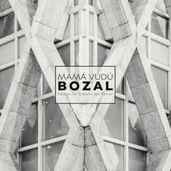 Bozal