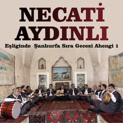 Yar Nolaydım