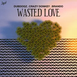 Wasted Love