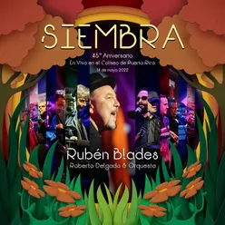 Siembra