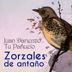 Zorzales de Antaño - Juan Darienzo - Tu Pañuelo