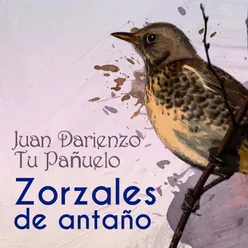 Tu Pañuelo