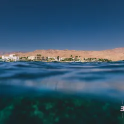 Dahab Days