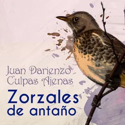 Zorzales de Antaño - Juan Darienzo - Culpas Ajenas