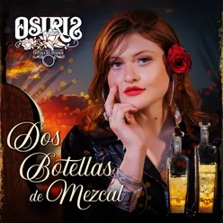 Dos Botellas de Mezcal