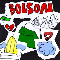 Bolsón