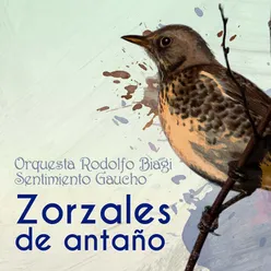 Zorzales de Antaño - Orquesta Rodolfo Biagi - Sentimiento Gaucho