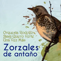 Zorzales de Antaño - Orquesta Rodolfo Biagi - Quiero Verte Una Vez Más