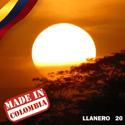 Made In Colombia: Llanero, Vol. 20