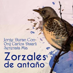 Zorzales de Antaño - Jorge Duran Con Orquesta Carlos Disarli - Serenata Mia