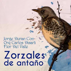 Zorzales de Antaño - Jorge Duran Con Orquesta Carlos Disarli - Flor Del Valle