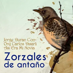 Zorzales de Antaño - Jorge Duran Con Orquesta Carlos Disarli - Asi Era Mi Novia