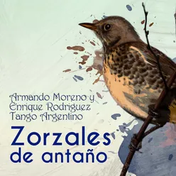 Zorzales de Antaño - Armando Moreno y Enrique Rodriguez - Tango Argentino