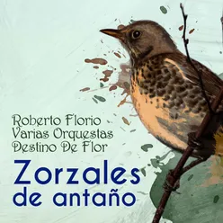 Zorzales de Antaño - Roberto Florio - Varias Orquestas - Destino De Flor