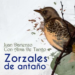 Zorzales de Antaño - Juan Darienzo - Con Alma De Tango
