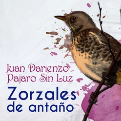 Zorzales de Antaño - Juan Darienzo - Pajaro Sin Luz