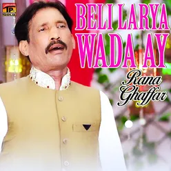 Beli Larya Wada Ay - Single