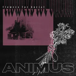 Animus