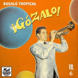 ¡Gózalo! Bugalú Tropical, Vol. 6