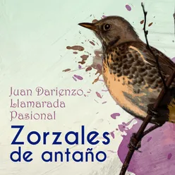 Zorzales de Antaño - Juan Darienzo - Llamarada Pasional