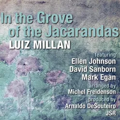 In the Grove of the Jacarandas