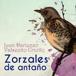 Zorzales de Antaño - Juan Darienzo - Valsecito Criollo