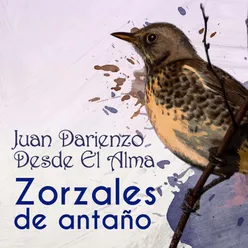 Zorzales de Antaño - Juan Darienzo - Desde El Alma