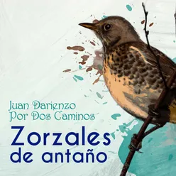 Zorzales de Antaño - Juan Darienzo - Por Dos Caminos