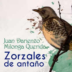 Zorzales de Antaño - Juan Darienzo - Milonga Querida