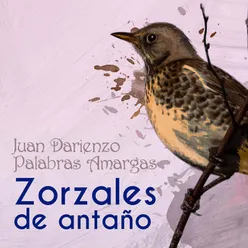 Zorzales de Antaño - Juan Darienzo - Palabras Amargas