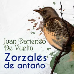 Zorzales de Antaño - Juan Darienzo - De Vuelta