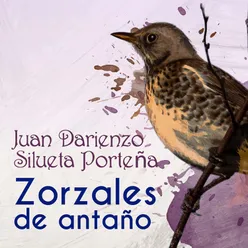 Zorzales de Antaño - Juan Darienzo - Silueta Porteña