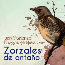 Zorzales de Antaño - Juan Darienzo - Fuegos Artificiales