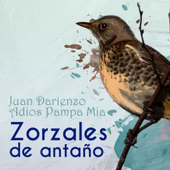 Zorzales de Antaño - Juan Darienzo - Adios Pampa Mia