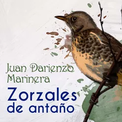 Zorzales de Antaño - Juan Darienzo - Marinera