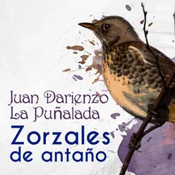 Zorzales de Antaño - Juan Darienzo - La Puñalada