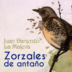 Zorzales de Antaño - Juan Darienzo - La Maleva