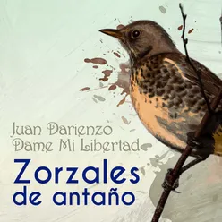 Diez Años