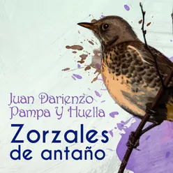 Zorzales de Antaño - Juan Darienzo - Pampa Y Huella